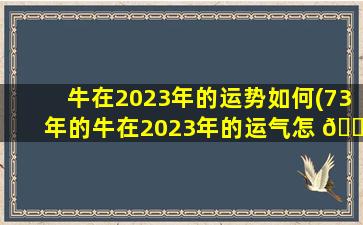 牛在2023年的运势如何(73年的牛在2023年的运气怎 🐛 么样)